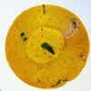 Mango Curry